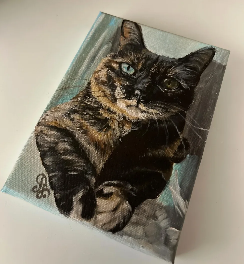 Canvas surface